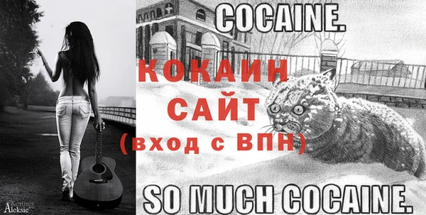 гашик Володарск