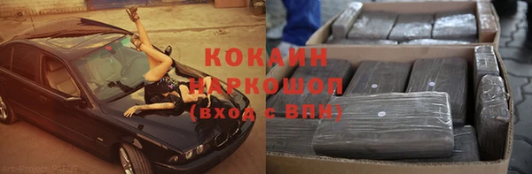 гашик Володарск