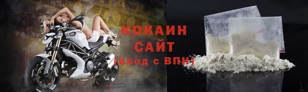 индика Волосово