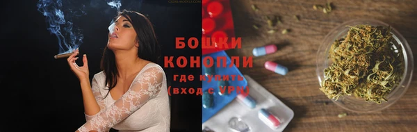 индика Волосово