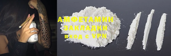 индика Волосово