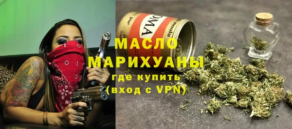 индика Волосово
