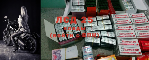 гашик Володарск