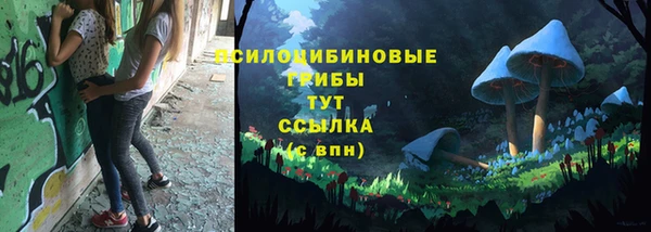 индика Волосово