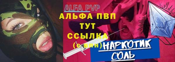 индика Волосово